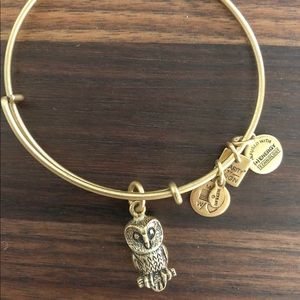 Alex and ani bracelet